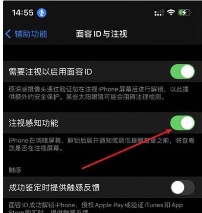 蒙山苹果14维修网点分享iPhone14注视感知功能有什么用 